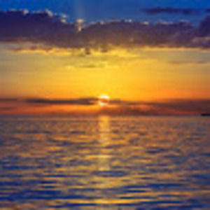 Meet your Posher, Tracey